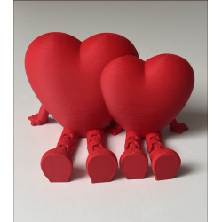 Coeurs Liés articulés personnalisable .