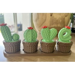 Ornement cactus tricot + socle  " Petites boites de rangement "