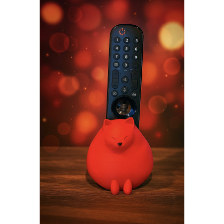 Porte télécommande " Chat Rouge "