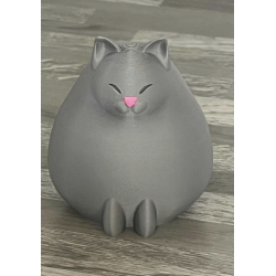 Porte télécommande " Chat Gris "
