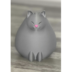Porte télécommande " Chat Gris "